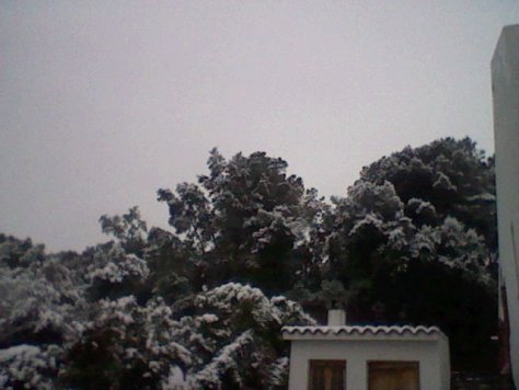 Nevada a Collsacreu