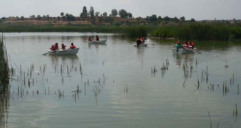 Barques Estany Ivars Vila-sana