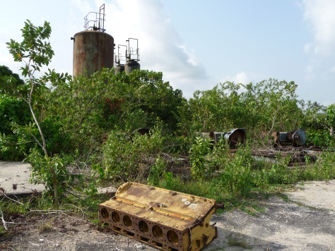 El Delta del N�ger. Ogoniland