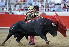 Catalonia's parliament has voted to ban bullfighting from January 1, 2012. (AFP: Lluis Gene)