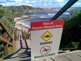 L'atac mortal ha ocorregut a South Point, Western Australia