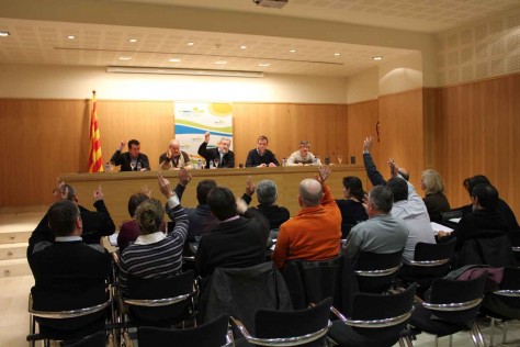 Votaci� del ple comarcal del Pla d'Urgell