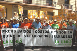 Una protesta de llauradors a X�tiva, aquest estiu. 