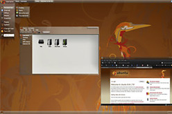 Intrepid Ibex, lúltima versió d'Ubuntu.