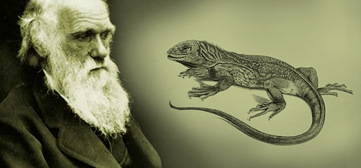 Imatge gran de la noticia