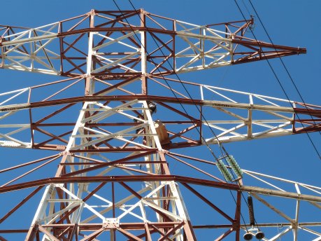 El niu s'ha instal·lat en una torre metàl·lica d'una línia d'alta tensió a 110 kV, a una alçada de 40 metres FOTO: Endesa.
