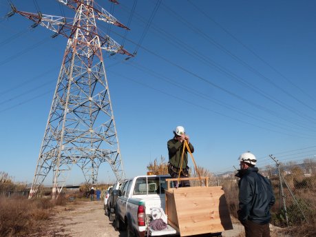 El niu s'ha instal·lat en una torre metàl·lica d'una línia d'alta tensió a 110 kV, a una alçada de 40 metres FOTO: EndesaEl niu s'ha instal·lat en una torre metàl·lica d'una línia d'alta tensió a 110 kV, a una alçada de 40 metres..