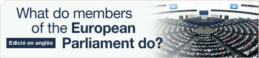 What do members of the European Parliament do?