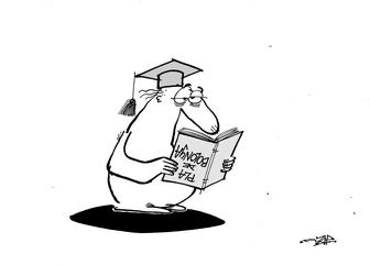 Secci� Acudits