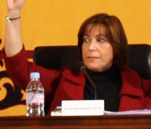L�Ajuntament de Benic�ssim s�adhereix a la Central de Compres de la Diputaci� de Castell�