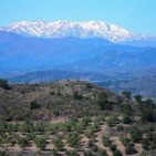 Cap de setmana amb temperatures negatives a Catalunya Nord