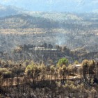 El tripartit veta les compareixences cr�tiques amb la gesti� d'Interior