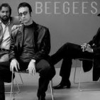 Let it bee (Els vells rockers no moren mai)
