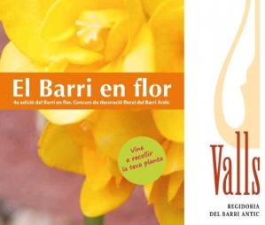 Arriba la quarta edici� del Barri en Flor