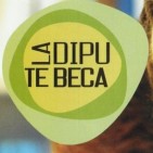 Albaida s� que s'adhereix al programa de beques formatives remunerades de la Diputaci�