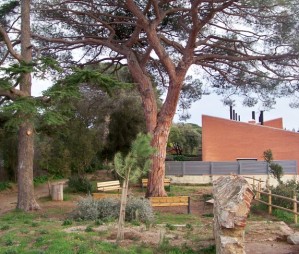 Recuperaci� mediambiental a l'Hort del Bisbe