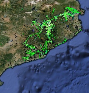 L'Ajuntament gasta m�s de 210.000 euros d'inversi� estatal en connectar tan sols 13 edificis a la xarxa Wi-Fi