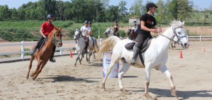 Els tallers d'estiu de Mollerussa inclouen un d'hípica en anglès o per a menors de 3 anys a l'agost