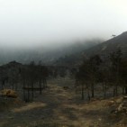 L'incendi de Rasquera, en fase de control