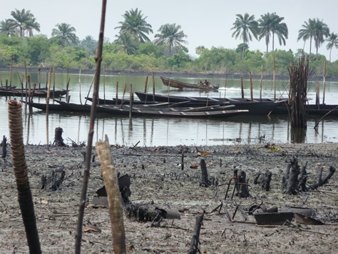 La lluita del delta del Níger. La merda del diable