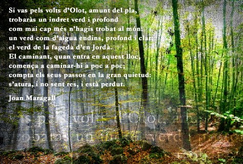 Resultat d'imatges de poema la fageda