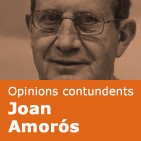 Joan Amorós